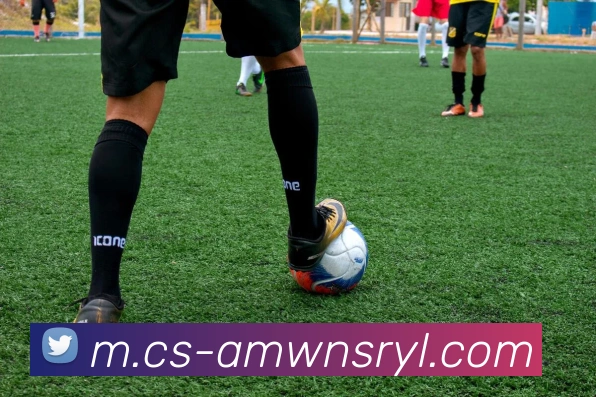 威尼斯人官网平台生态图