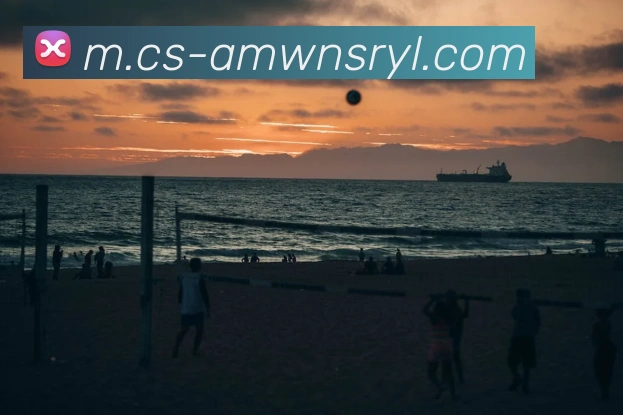 威尼斯人官网APP 封面图